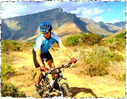Western Cape
