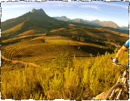 Western Cape