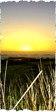 Western Cape
