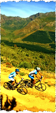 Enjoy the CAPE EPIC