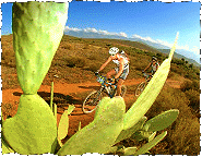 Enjoy the CAPE EPIC