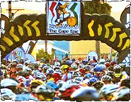 Enjoy the CAPE EPIC