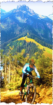 Das FriedensRAD