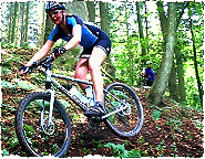 Trailtechniktraining