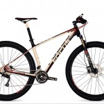 Focus Raven 29 3.0 [UVP 1.999,-]